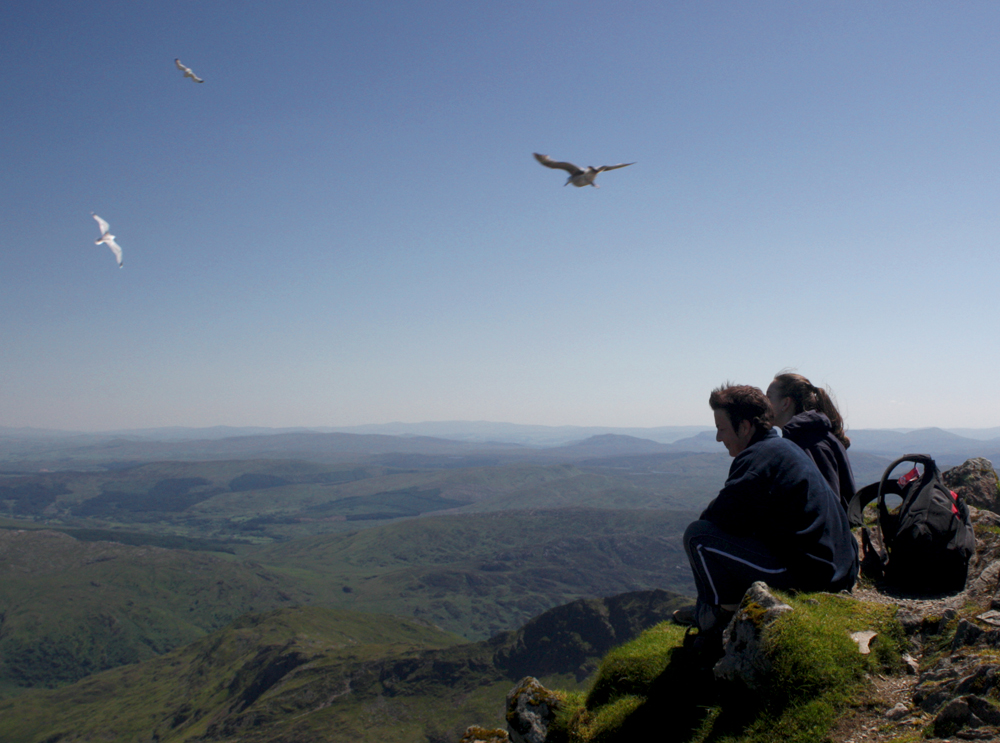 L&B snowdon birds.jpg